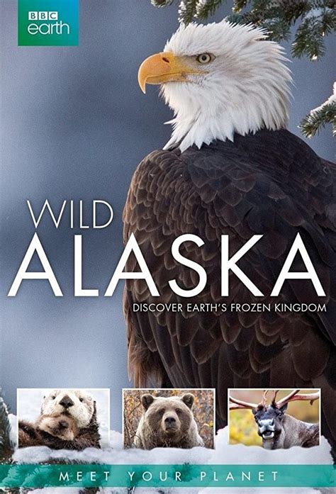 Wild Alaska Sportingbet